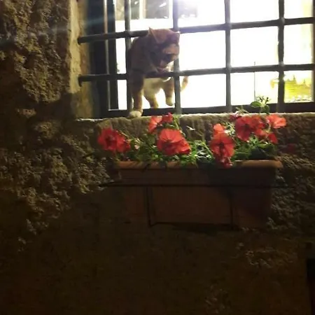 L'arco Di Sersa * Riccò del Golfo di Spezia