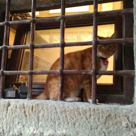 L'arco Di Sersa * Riccò del Golfo di Spezia